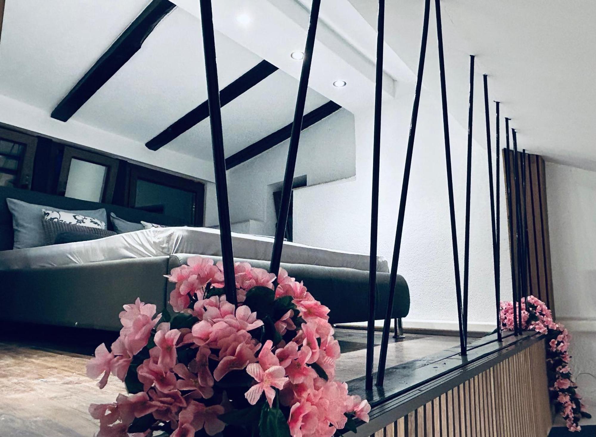 Seven Apartma Umag